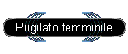 Pugilato femminile